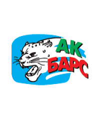 ХК Барыс